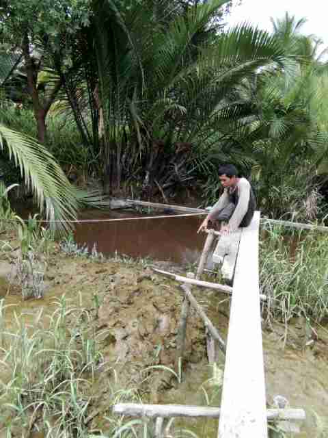 Sedang Mancing, Seorang Warga Teluk Dalam Diterkam Buaya